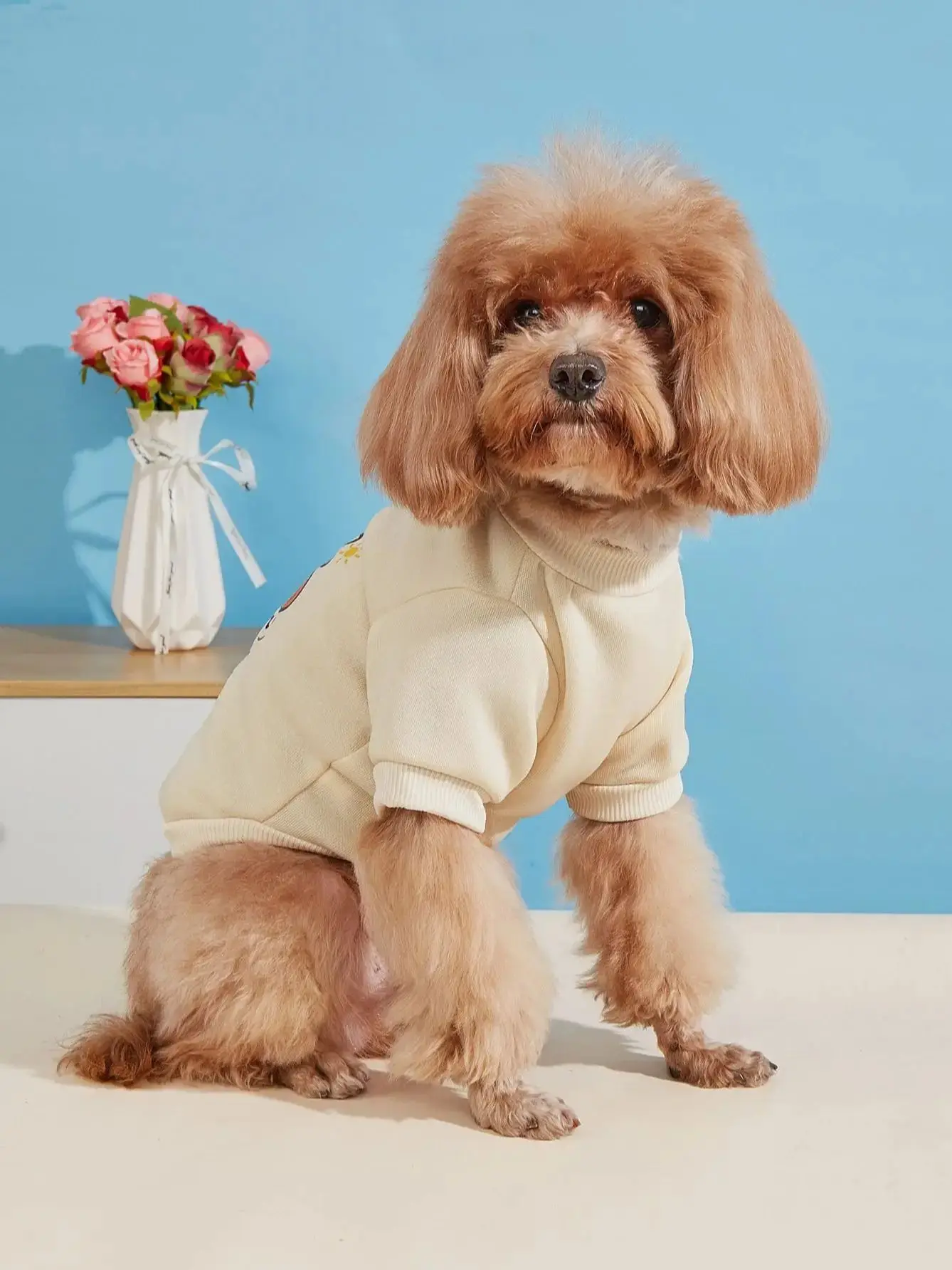 Pet clothes dog cat sweatshirt with velvet warm and comfortable purple and green stitching clothes with prints simple and genero