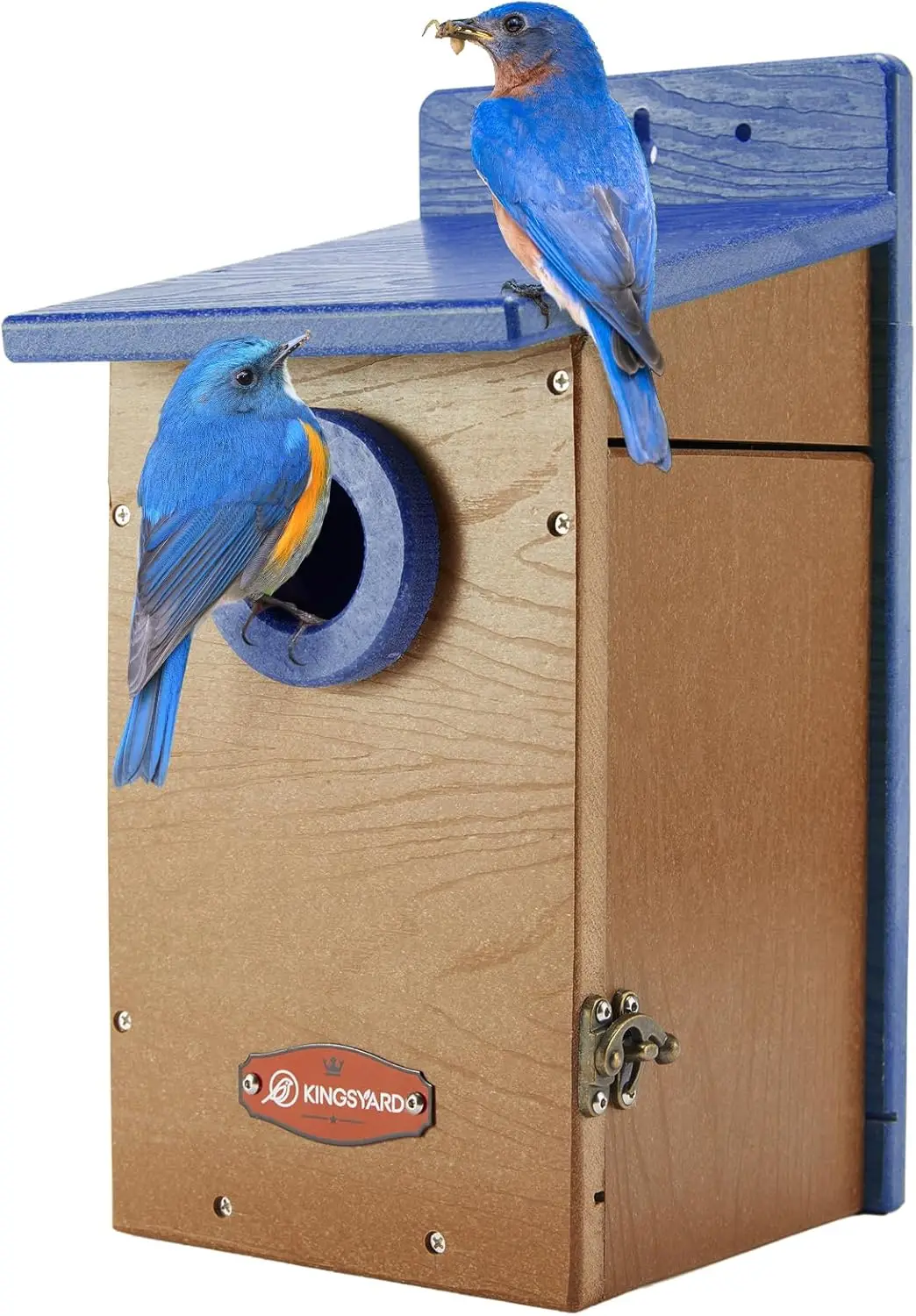 

Recycled Plastic Bird House for Outdoor - Durable Nesting Box with Clear View Panel & Predator Guard for Bluebird Wren Swallow