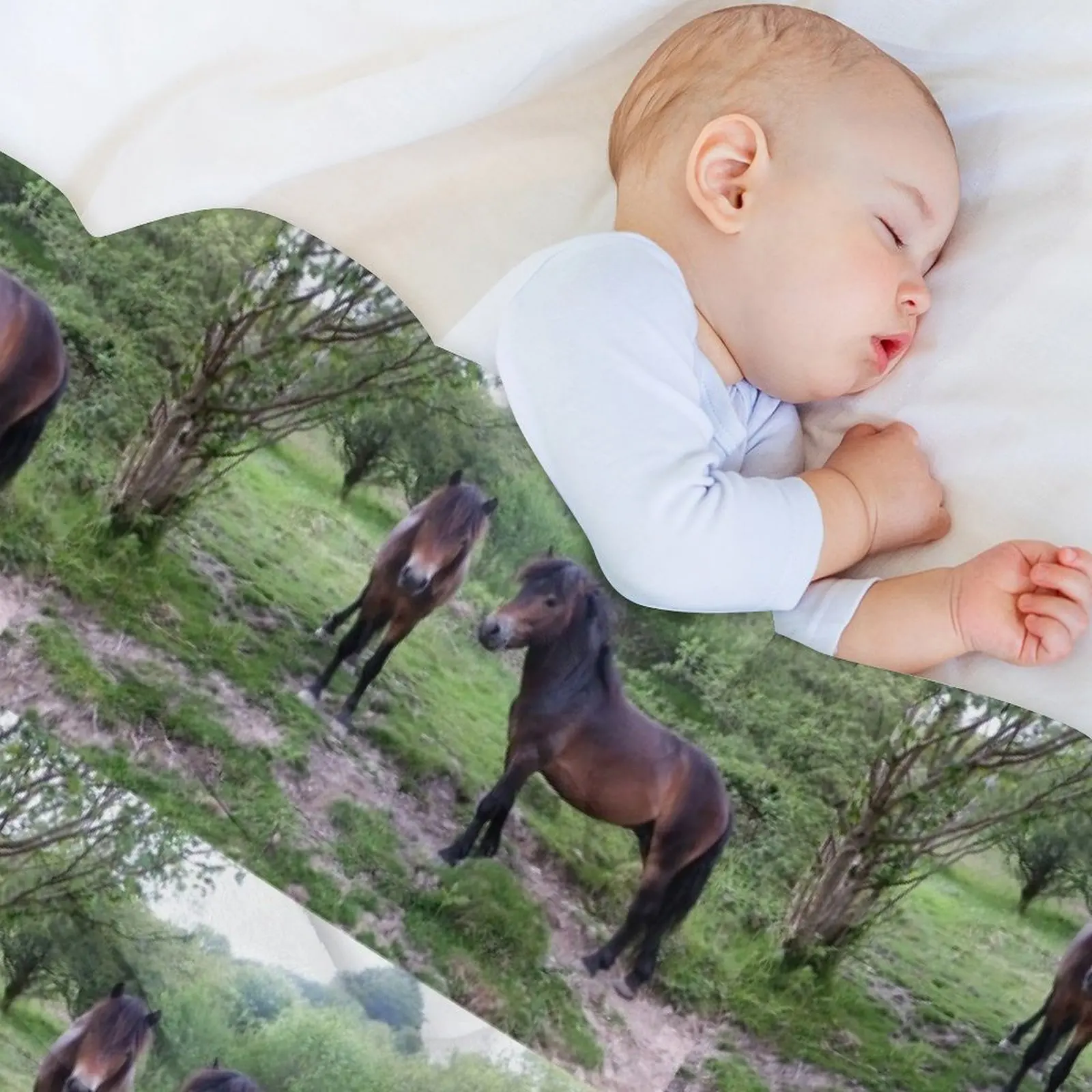 Exmoor Ponies Throw Blanket decorative Blankets For Baby Blankets