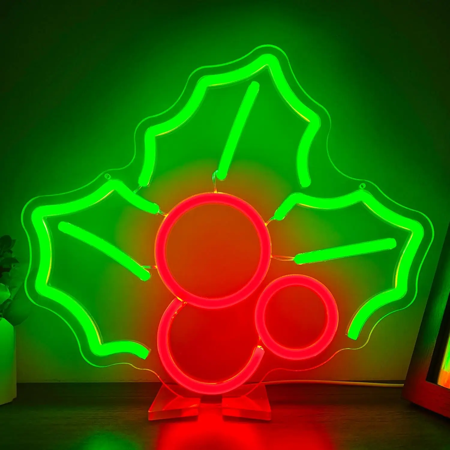 

Holly Neon Sign for Wall Decor Fruit Neon Light Sign Led Neon Light Up Sign Neon Signs for Bedroom Living Room Shop Bar Pub Club