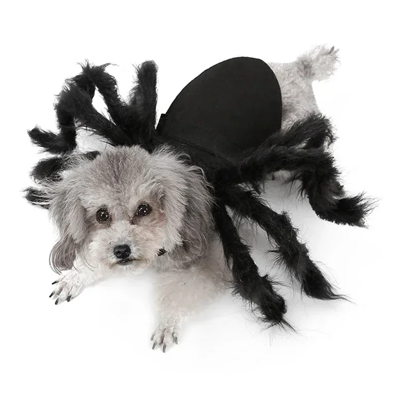 Halloween Pet Clothes Funny Black Spider Costume Cosplay Cat Dog Halloween Party for Pet Supplies Cat Accessoties Gift #