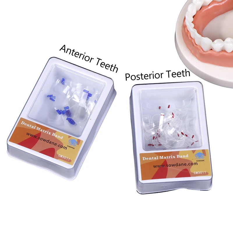 30Pcs/box Dental Transparent Sectional Contoured Matrices Matrix Anterior And Posterior Teeth Polyester Dental Materials