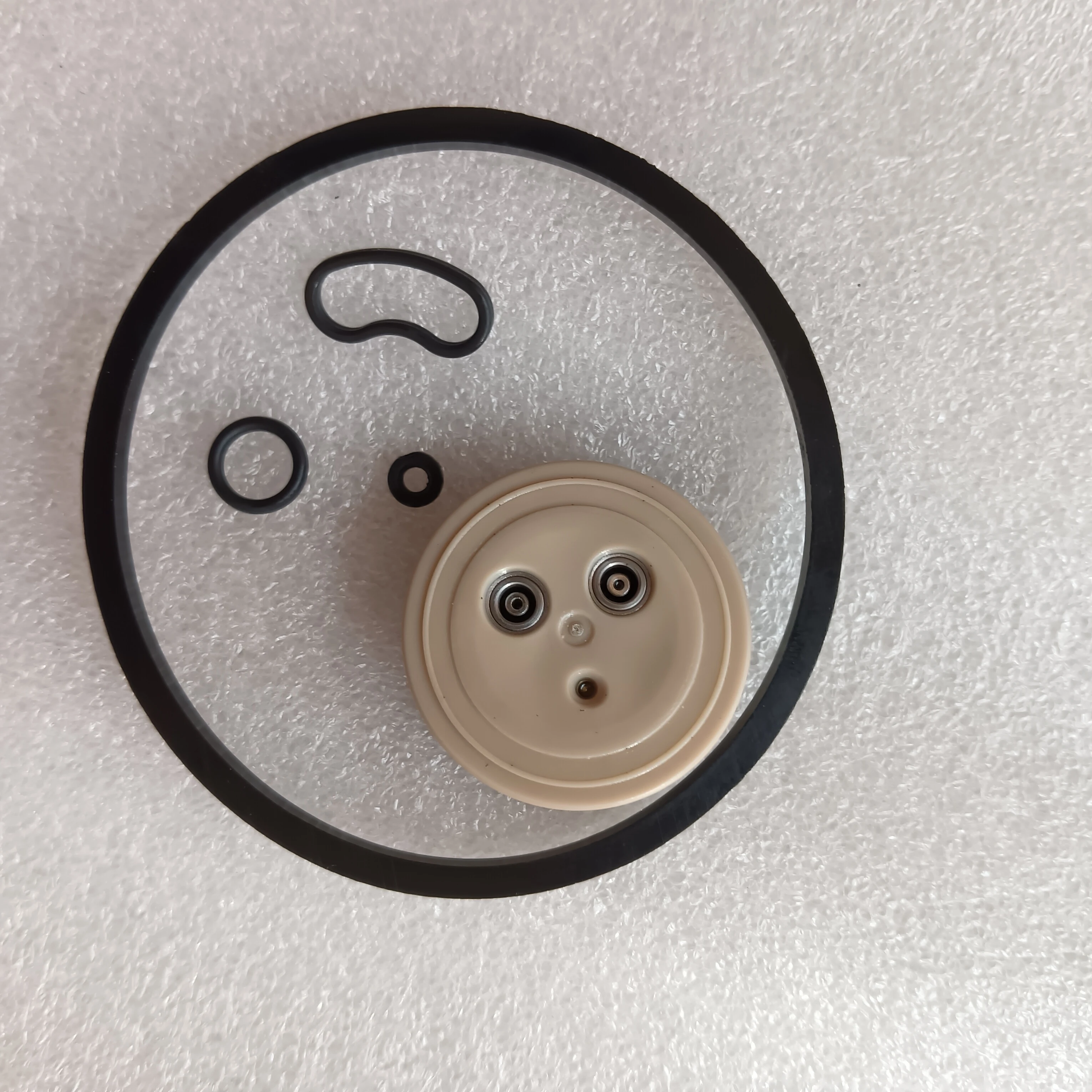 

2655852 A0001407678 A0001407878 Sc Ania Merc Edes Urea Pump Repair Kit Check Valve Plate