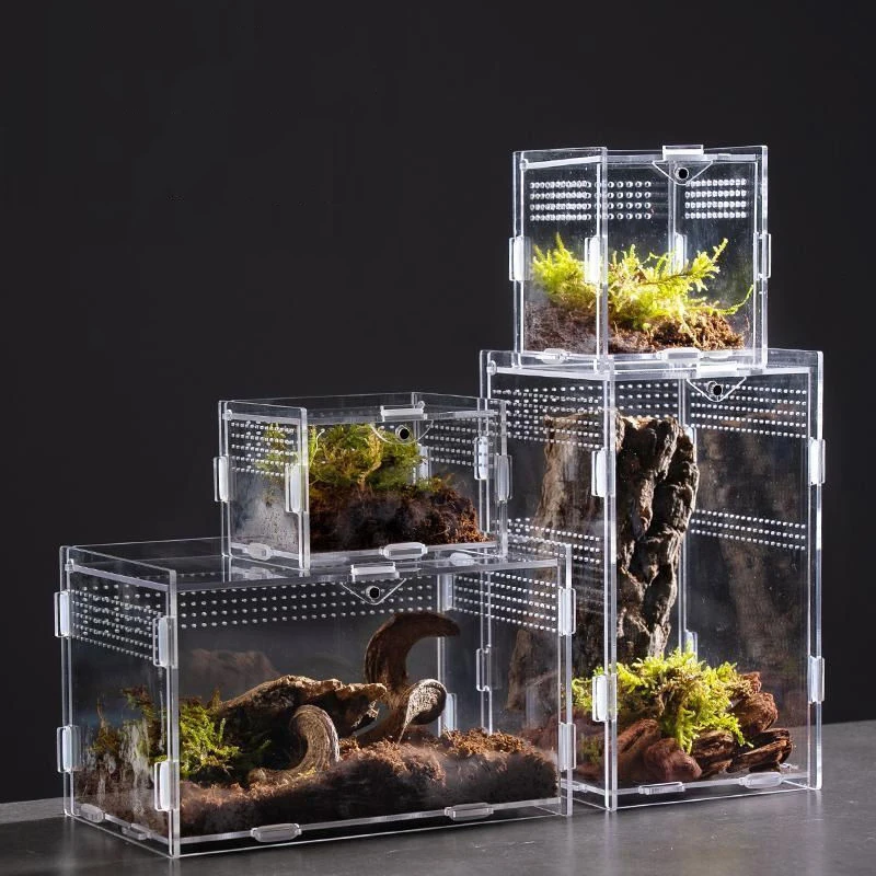 Acrylic Transparent Reptile Breeding Box Terrarium Habitat Insect Spider Lizard Scorpion Feeding Cage Arboreal Enclosure Case
