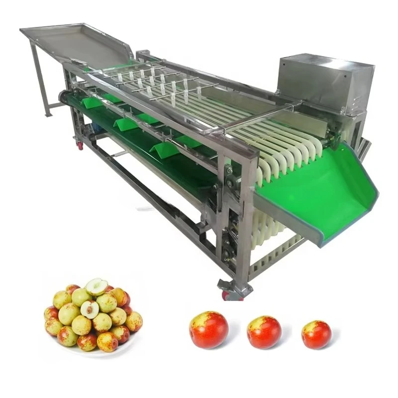 Long Service Life Sorting Machine for Dates / Onion Sorting and Grading Machines / Citrus Fruit Sorting Machine