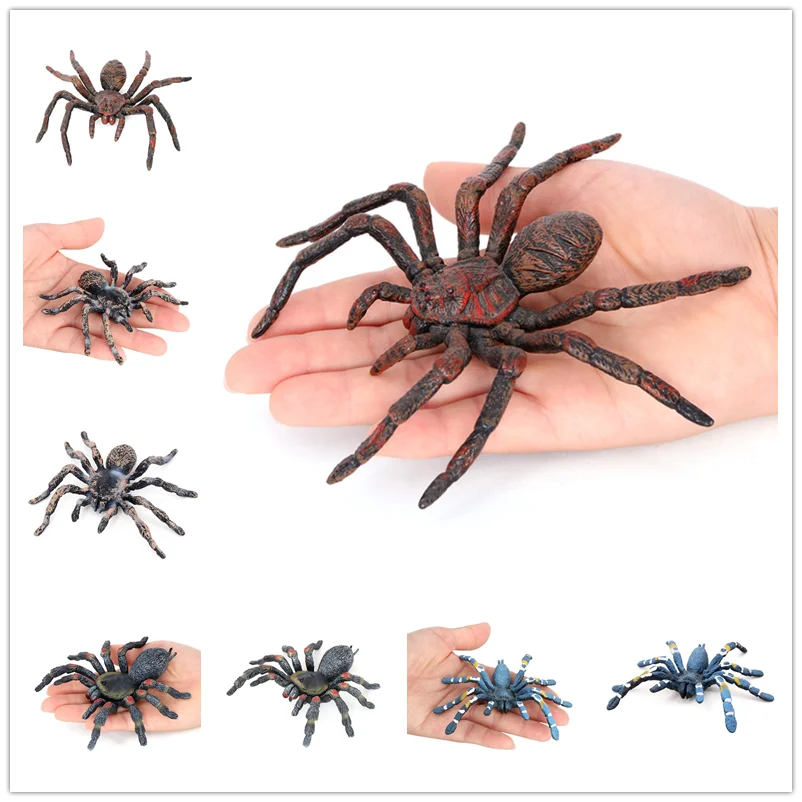 

Simulation Spider Realistic Insect Animal Model Halloween Prank Horror Scare Toys Haunted House Decoration Kids Educational Toys