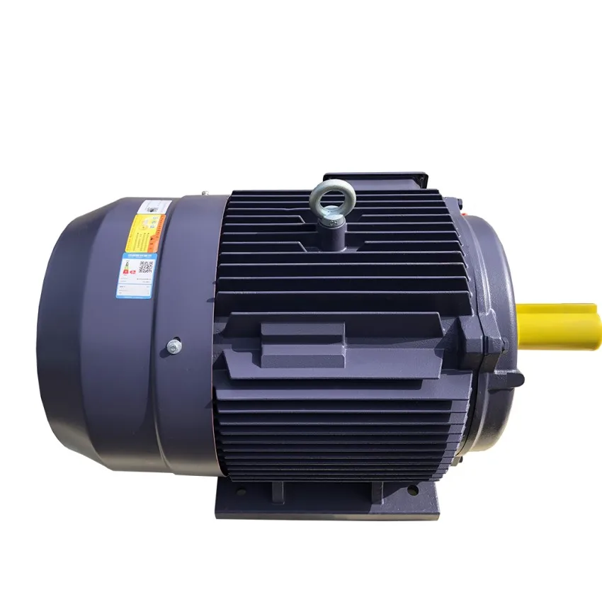 380V /400V 415V/690V Three Phase Asynchronous Electric Motor With 50Hz/60Hz