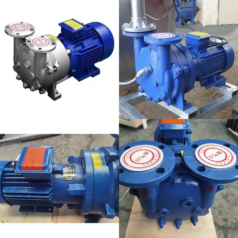 Small Liquid Ring Vacuum Pump Stainless Steel Water Ring Pump for 2BV Brand Pump Manufacturer