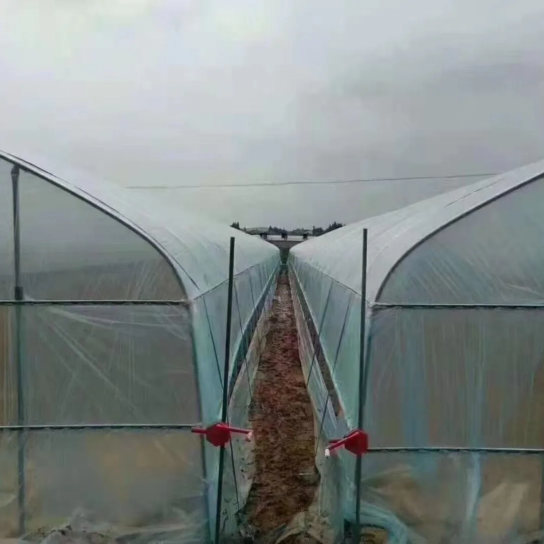 2025년형 단일 구조 채소 재배 온실, 개별 유닛용 두꺼운 용융 아연 도금 강관 사용