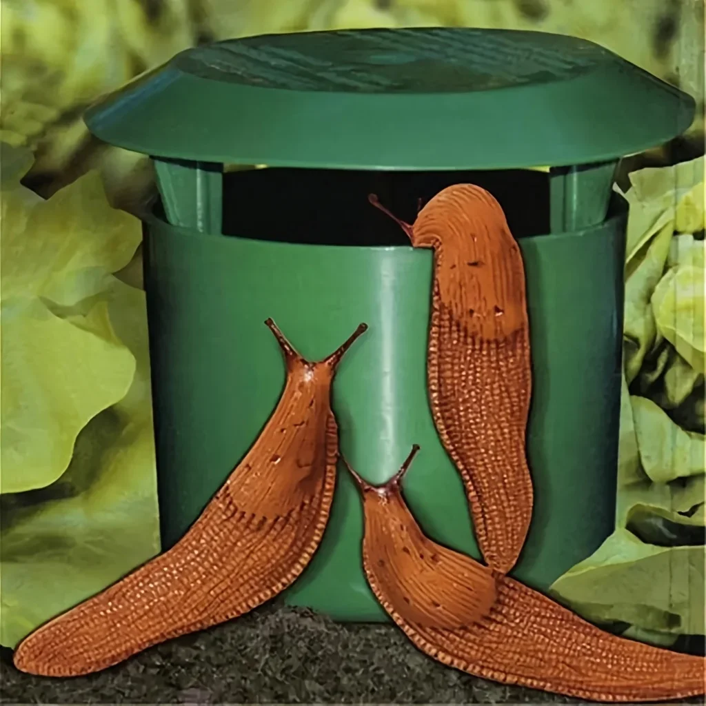 Snail Trap for Garden - Plastic Snail Catcher Insect Trap Box for Yard Vegetables & Plants - Eco Friendly Pest Control Hunting