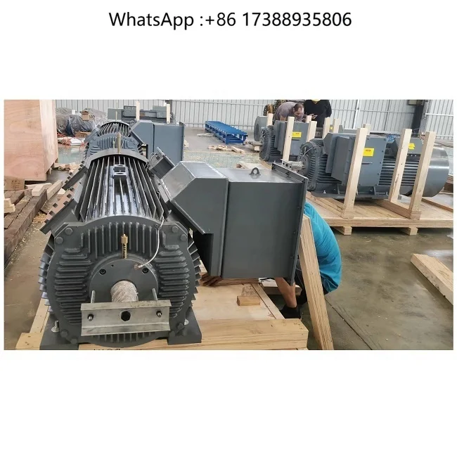 6KV/10KV Medium Voltage  Electric Motor