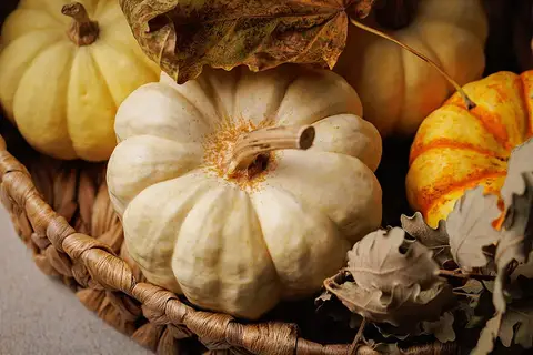 10 best sales FPV-kamerafäste - №5