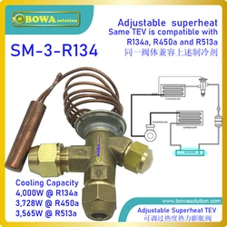 4kw R134a TX (thermostatic expansion valve) only allows a specified amount of refrigerant to flow based on demand