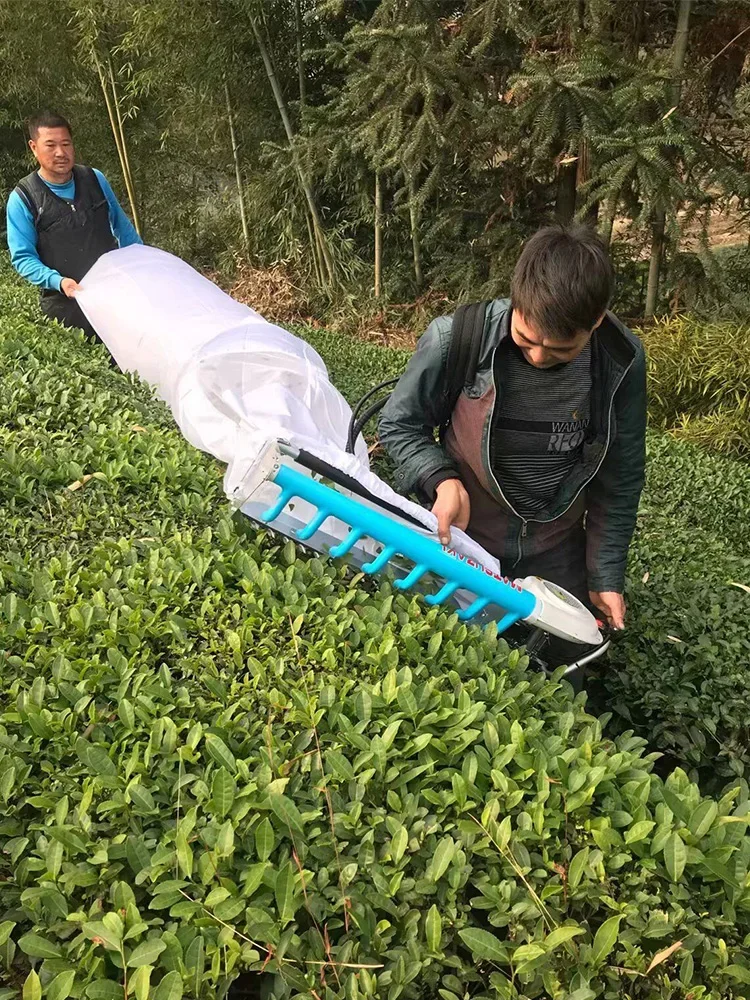 New small handheld tea picker bag special backpack single double landscaping tea trimming hedge machine