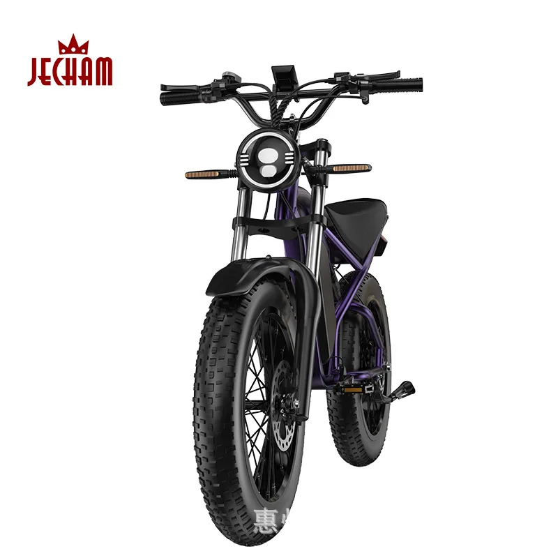 Electric Bicycle 1000W Powerful Motor 48V16AH Lithium Battery Electric Bike Off-road Snow 20*4.0-inch Fat Tire Mountain E Bike