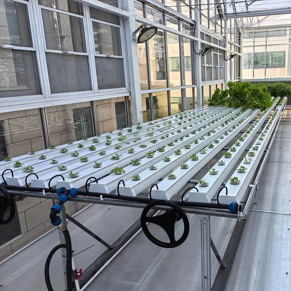 Tubi idroponico in PVC 2025 per la coltivazione di ortaggi e fiori Piantine coltivate in tubi quadrati di plastica