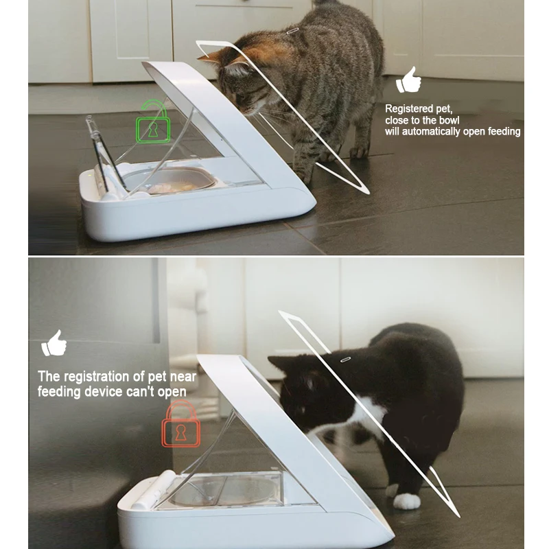 Automatic Pet Feeder Surefeed Chip Identification Cat Electronic Pet Feeder Food Fresh Prevent Other Pets from Snatching Food