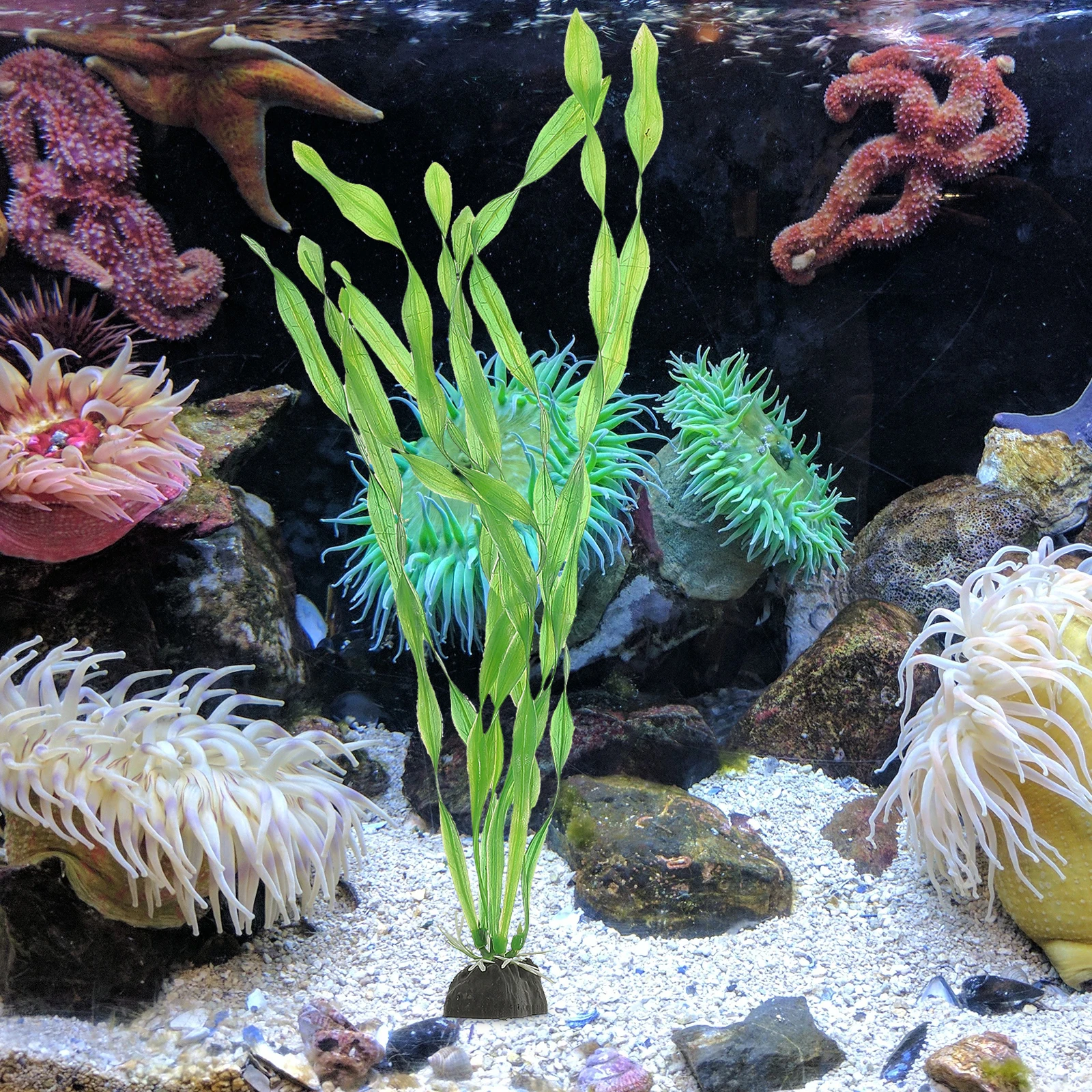 

10Pcs Fine Craftsmanship Plastic Fish Tank Plants Not Easy to Fade Add Color to Aquarium Artificial Seaweed Water Plants