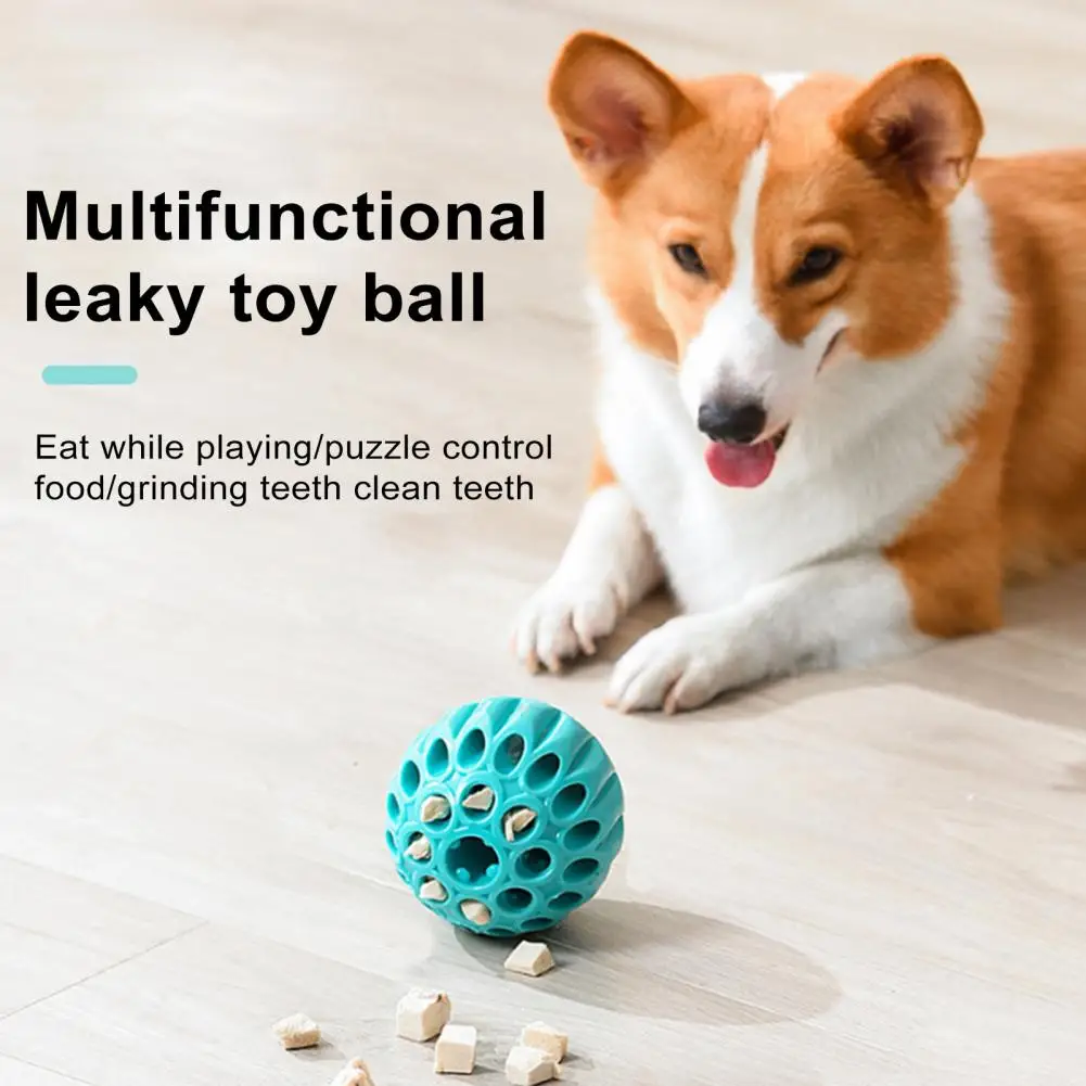 Develop Good Eating Habits Dogs Pet Toy for Dogs Dog Toy Ball for Healthy Eating Treat Dispensing Bite Resistant for Small