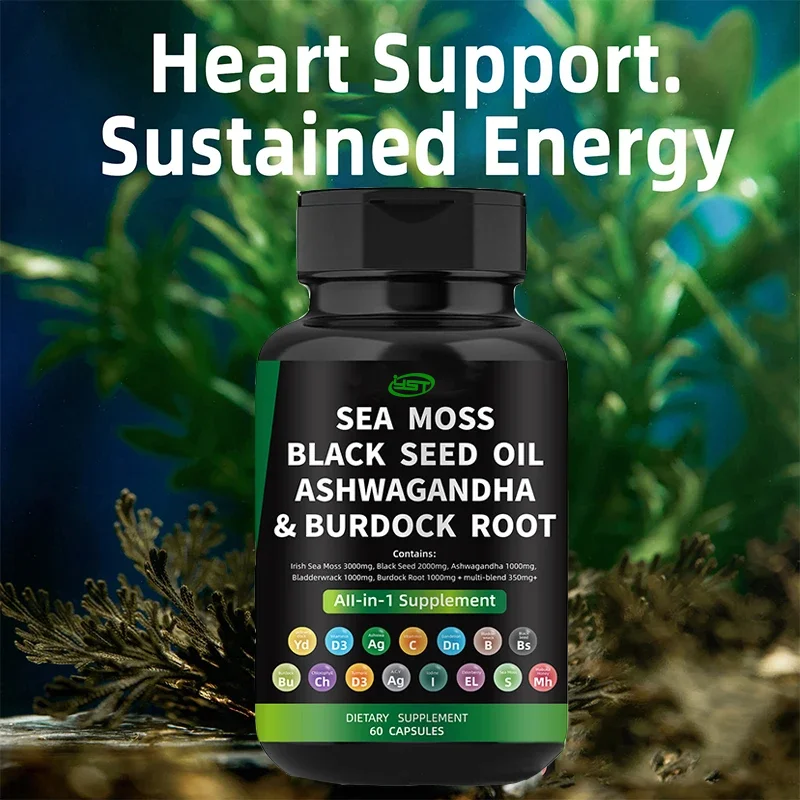 Vegetarian Diet Organic Sea Moss Capsule Helps Immune System ,Joint Health Intestinal Cleansing Thyroid Supplement