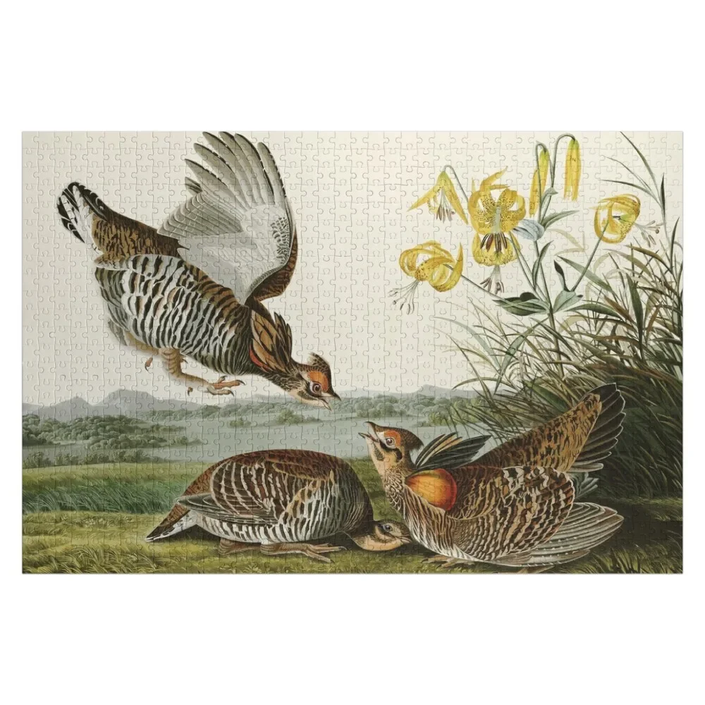 Pinnated grouse-จอห์นเจมส์ Audubon นกอเมริกาตัวต่อจิกซอว์ปริศนาชื่อบุคคล