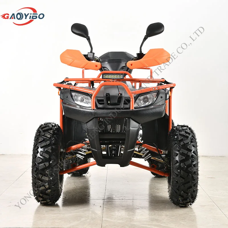 

Мощный 250cc ATVs Багги и квадроцикл для взрослых дешевая распродажа