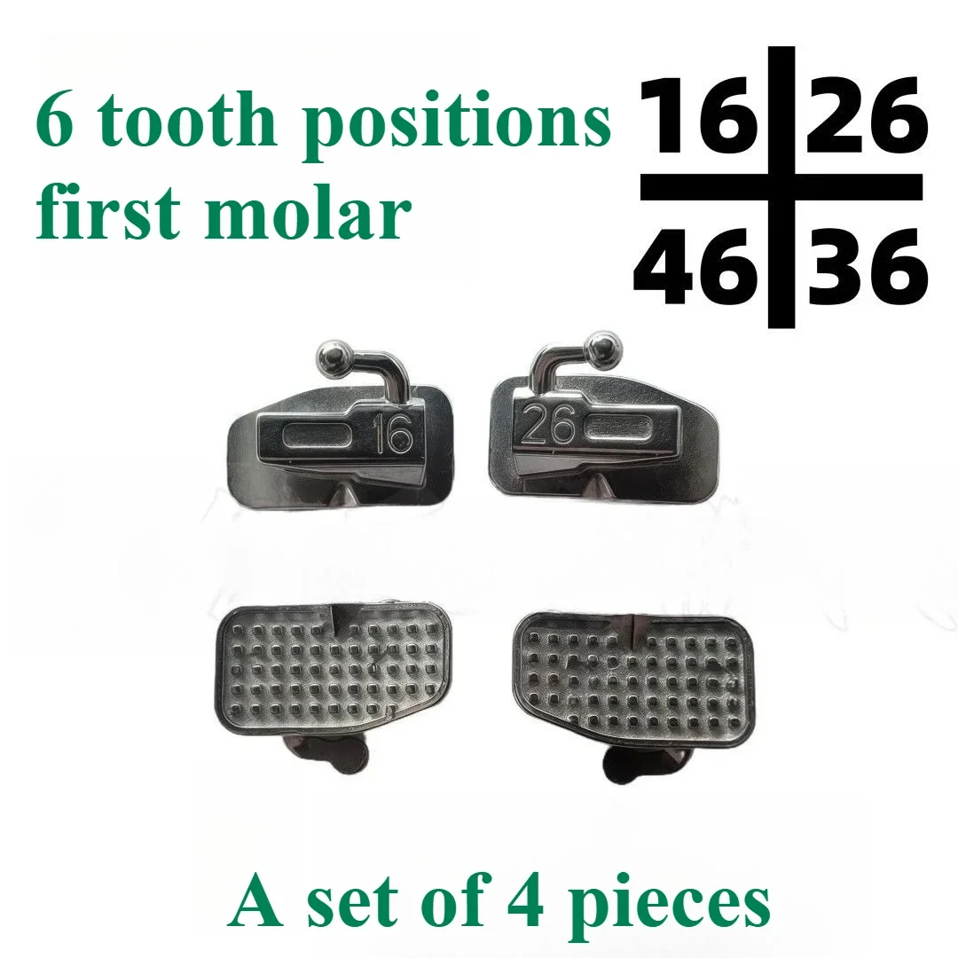 

Dental Materials Tube First Molar Buccal Canal Orthodontic Specific Straight Line Buccal MBT Buccal Tube Strong Retention Force