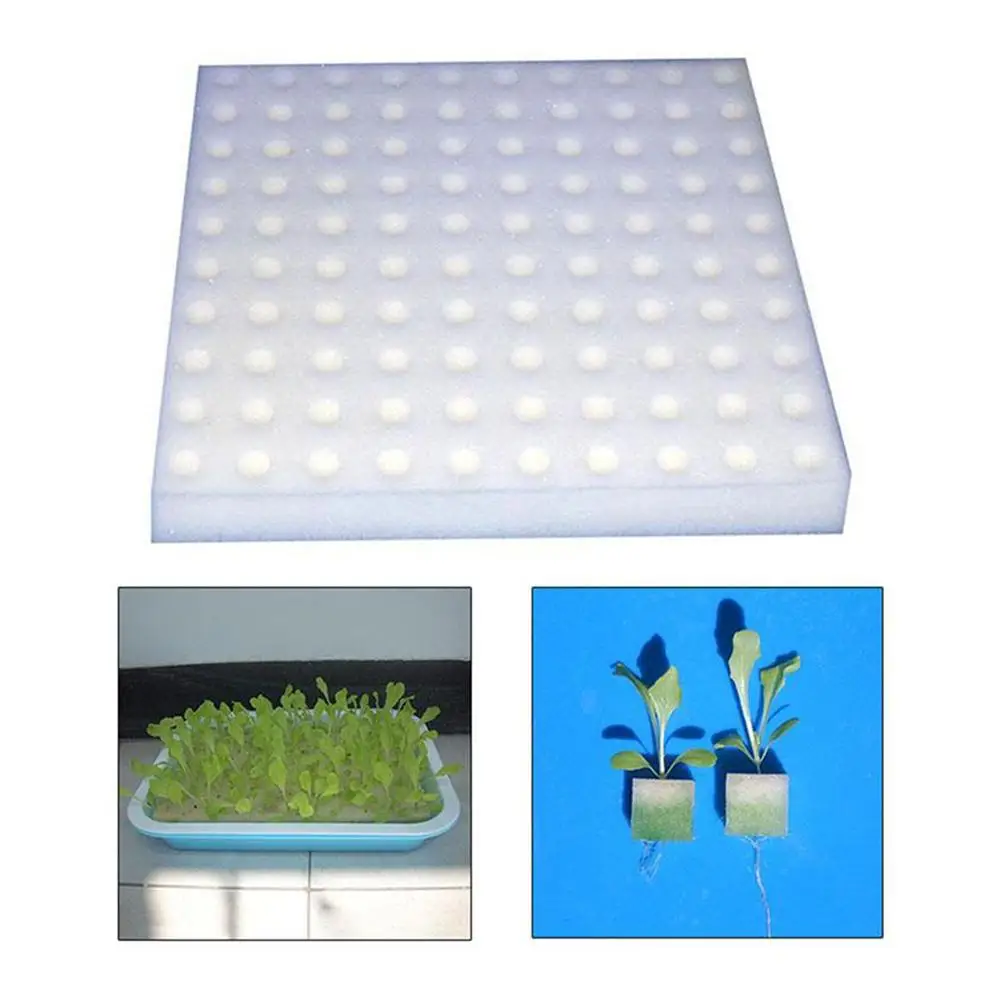 

Hydroponic Sponge Block 100 Pcs Water Soilless Cultivation Seedling Pots Germination Vegetable Planting Tools Culture Nurse R2E3