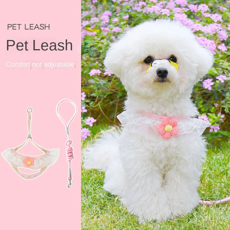 Dog Hand Holding Rope Walking Chain Small Internet Celebrity Pet Harness Teddy Bichon Puppy Leash