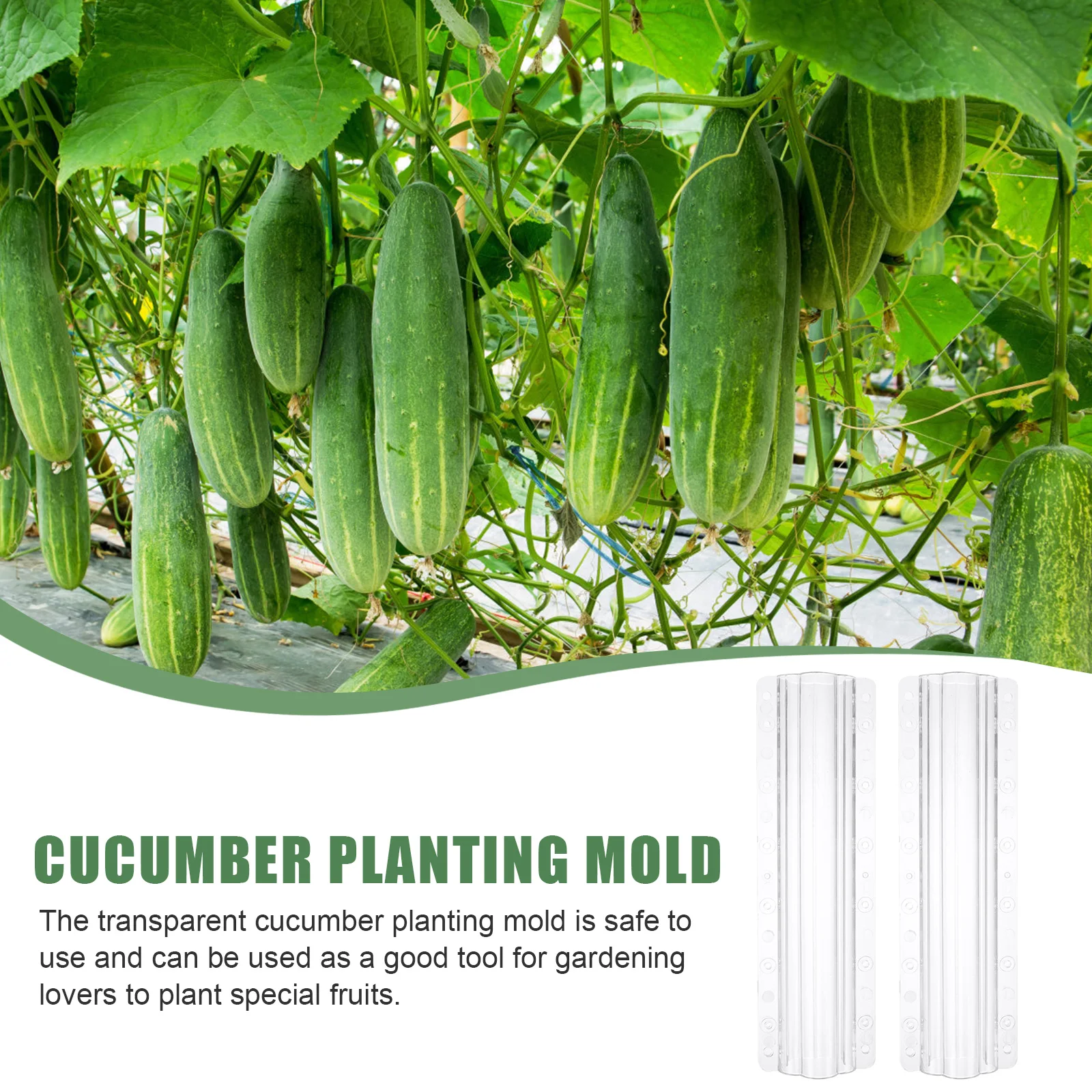 

3 Pcs Vegetable Shaping Mold Fruit Garden Cucumber Growing Silicone Square Shape Lightweight Flexible Storage Carry PC Material