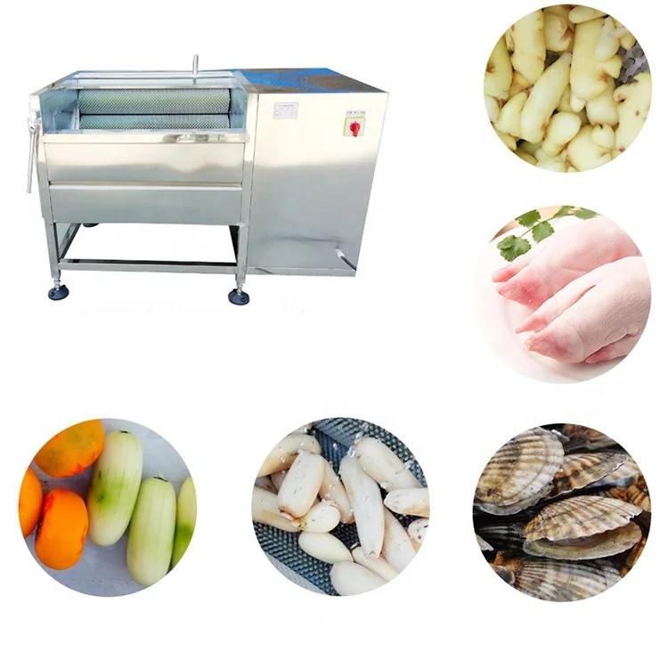 Brush Cleaning And Peeling Machinery Fruit Vegetable Brush Washing Machine