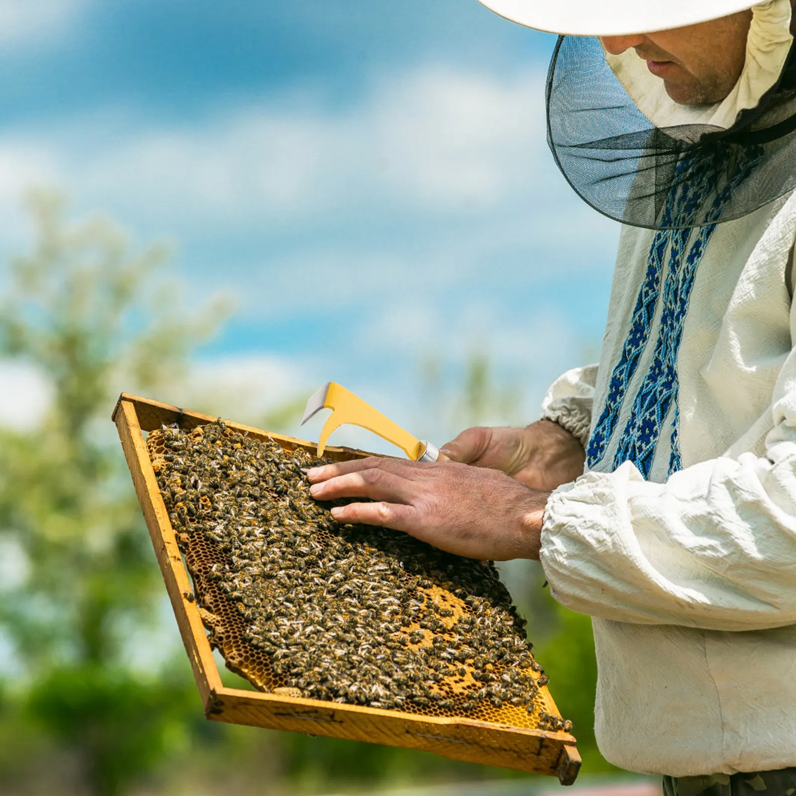 Beehive Frame Wax - 木製ハンドル付き、ステンレス製の2本セット。蜂の巣のフレームを分離したり、蜜蝋やプロポリスを削り取ったりするための多機能養蜂用具。