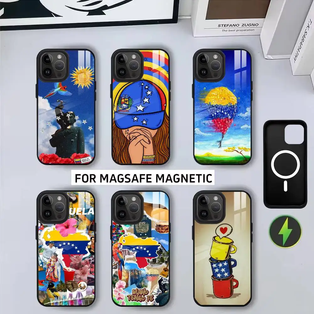 

V-Venezuela e-esthetic Art Print Phone Case For iPhone17,16,15,14,13,12,11 Plus,Pro Magnetic For Magsafe Wireless Charging