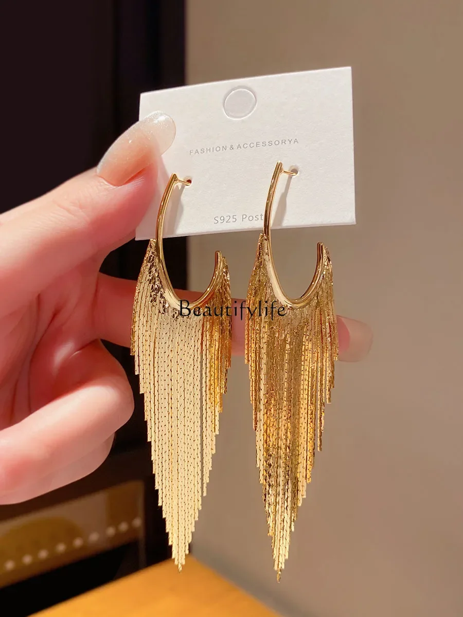 2024 new trendy exaggerated temperament long fringed earrings women's high-end cold wind studs