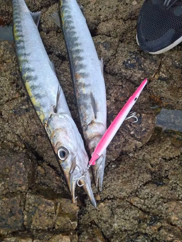 Hunthouse Propeller Needle Lure 225mm/40g Schwimmender Pencil-Köder Oberflächenköder Aguglia Turbo für Blaufisch und Seebarsch – Detail 5