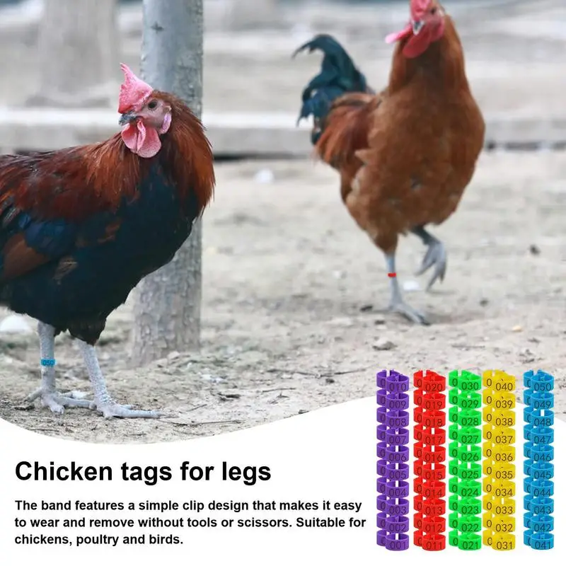 1.6cm 01~50 Chicken Foot Ring Turkeys Quail Foot Ring Easy Install & Remove Manually Poultry Carry Foot Ring 50/100 Pcs