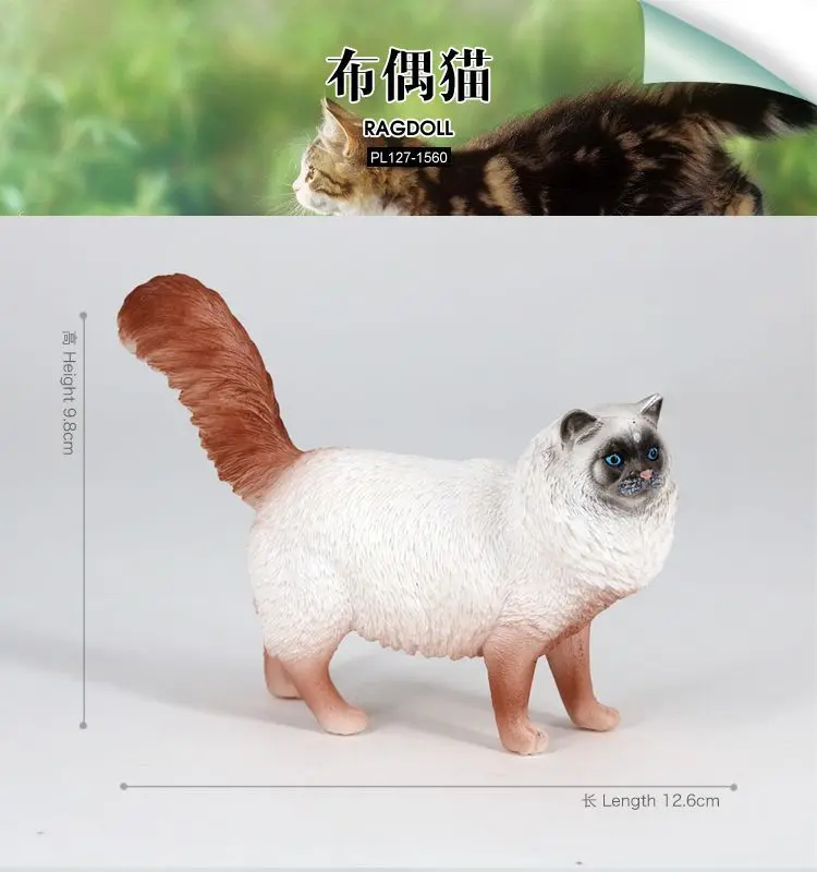 Simulation animal model toy solid plastic pet cat ragdoll cat ragdoll cat static model ornament figure