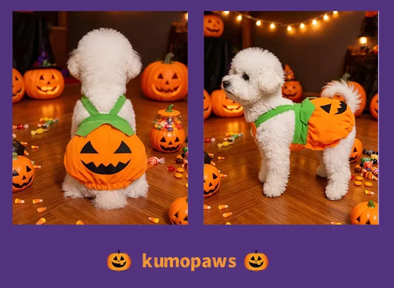 Verstellbares, waschbares Halloween-Kürbis-Overall-Kostüm für kleine Hunde und Katzen, lustiges & gruseliges Trick-or-Treat-Outfit – Detail 9