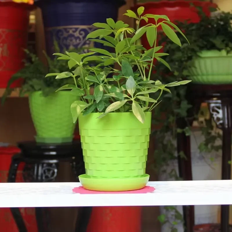 for Creative Simple Round Green Plant Pot Multicolor Plastic PP Flower Planter Minimalist Desktop