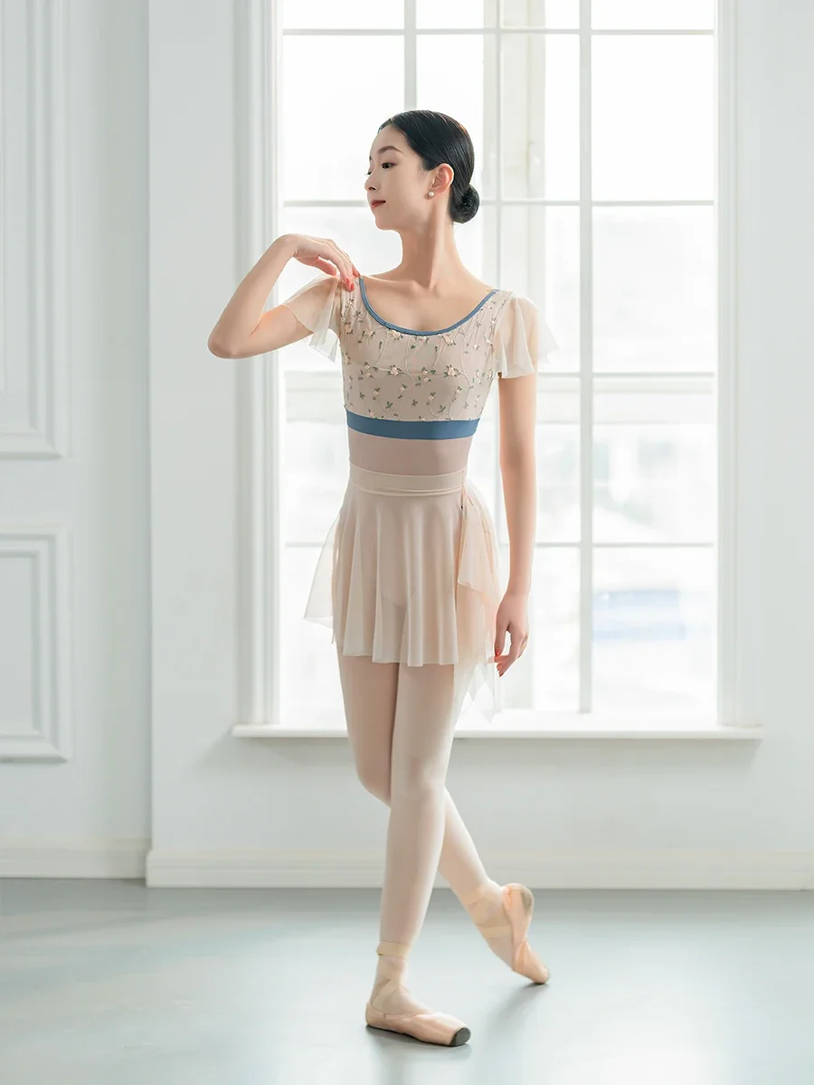 Großhandel Mesh Ballett Rock Frauen Mädchen Erwachsene Ballerina Professionelle Elastische Dance Kleid Gymnastik Ausbildung Kostüme Miniröcke