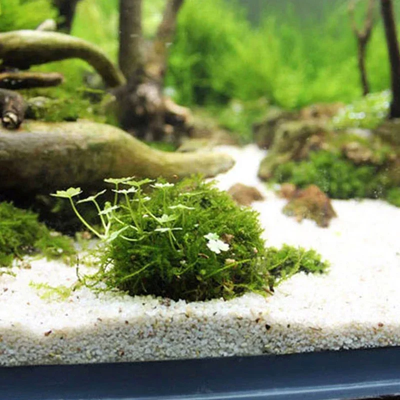 1pc Aquatic Pet Supplies Decorations Aquarium Moss Ball Live Plants Filter For Java Shrimps Fish Tank Decor Accessrioes