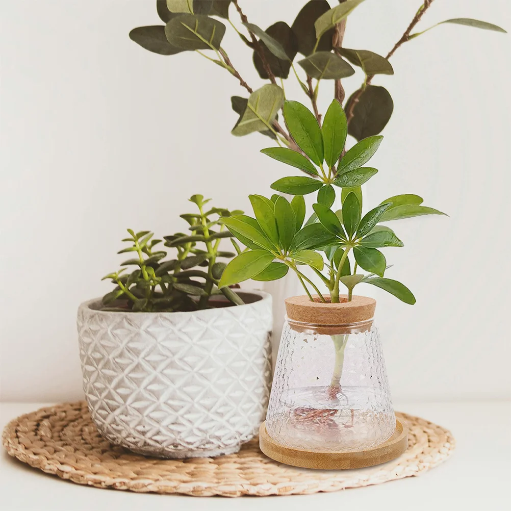 

2pcs Water Propagation Vase Clear Glass Terrarium Jar For Hydroponic Plants Desktop Decor Bud Vase Holder Plant Station Vases