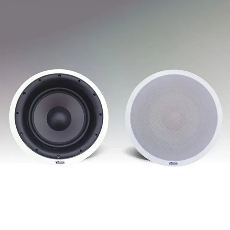 Thinuna MS-10SUB Public Address Sound System High Quality Heavy Bass Ceiling Subwoofer In-ceiling Woofer Bass Speaker