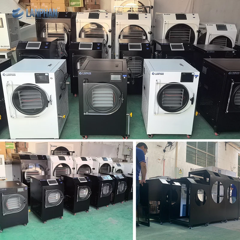 Henan Lanphan Home Pro 14 vassoi HFD-40 Macchina per liofilizzare frutta e verdura 60 kg