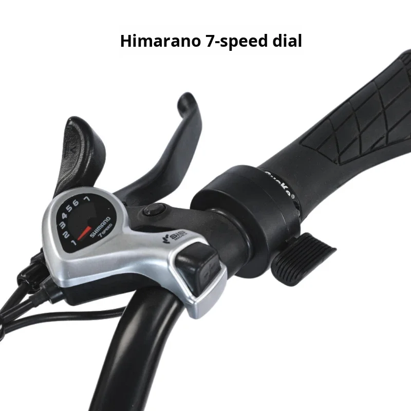 *forSource Manufacturer 26 Aluminum Alloy Adult Women's Princess Bicycle Commuting Lightweight 36V 250W Lithium Electric Bike