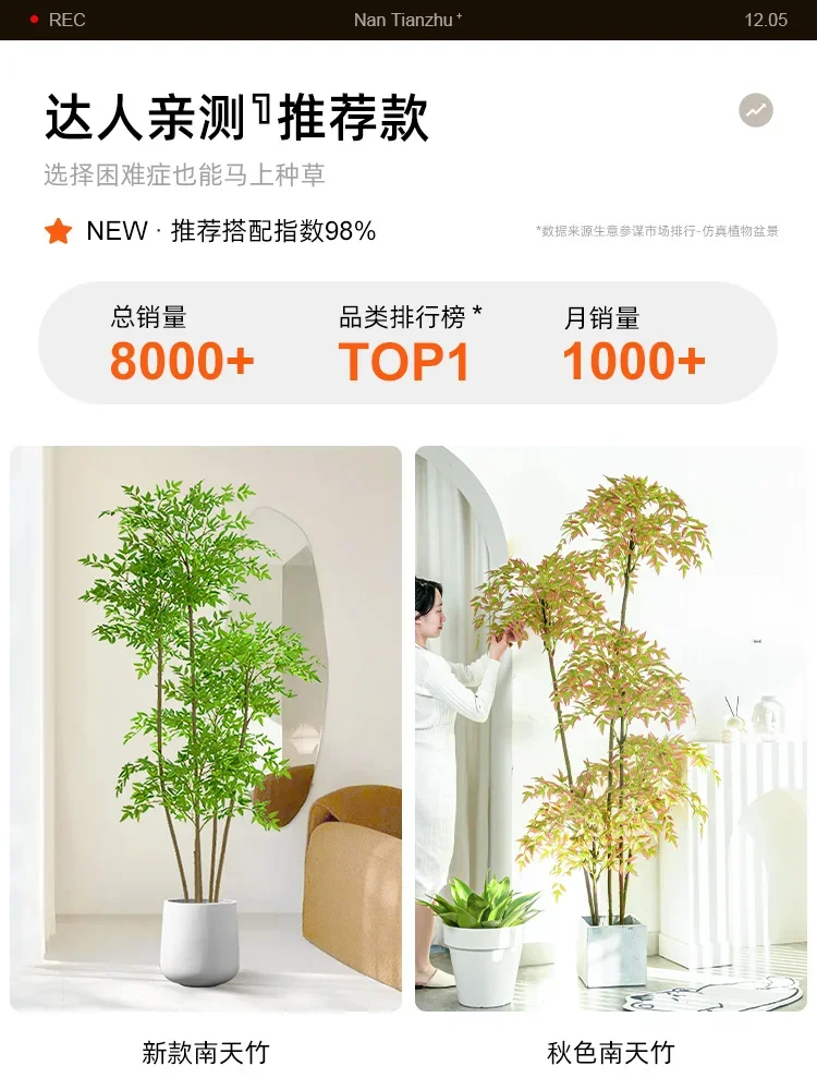 Simulated green plants, fake southern bamboo  potted, biomimetic green , living room decorations, high-end a