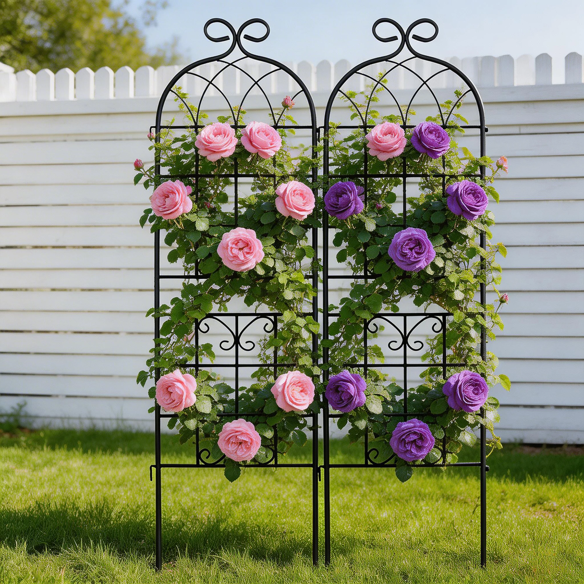 

2 шт. металлические садовые решетки для вьющихся растений, 70 x 19,7 дюймов, с черным металлическим покрытием, устойчивым к ржавчине, идеально подходят для поддержки вьющихся растений.