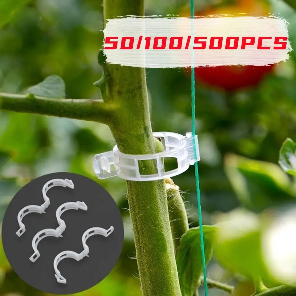 

50/100/500pc Plastic Plant Support Clips Reusable Vegetable Holder Tomato Vines Protection Grafting Fixing Tools Garden Supplies