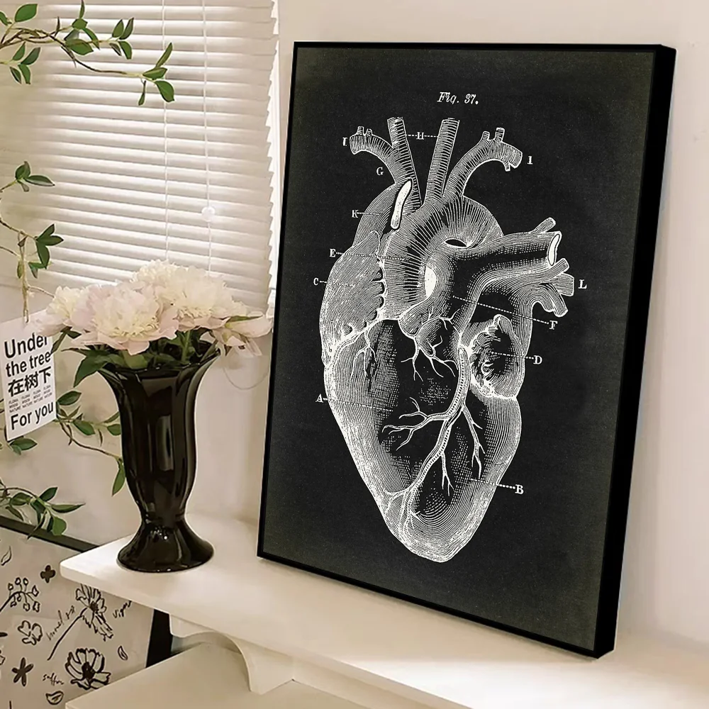 Human Anatomy Muscles System Art Whitepaper Poster HD Quality Poster Wall Art Painting Study Room Wall Decor view 5