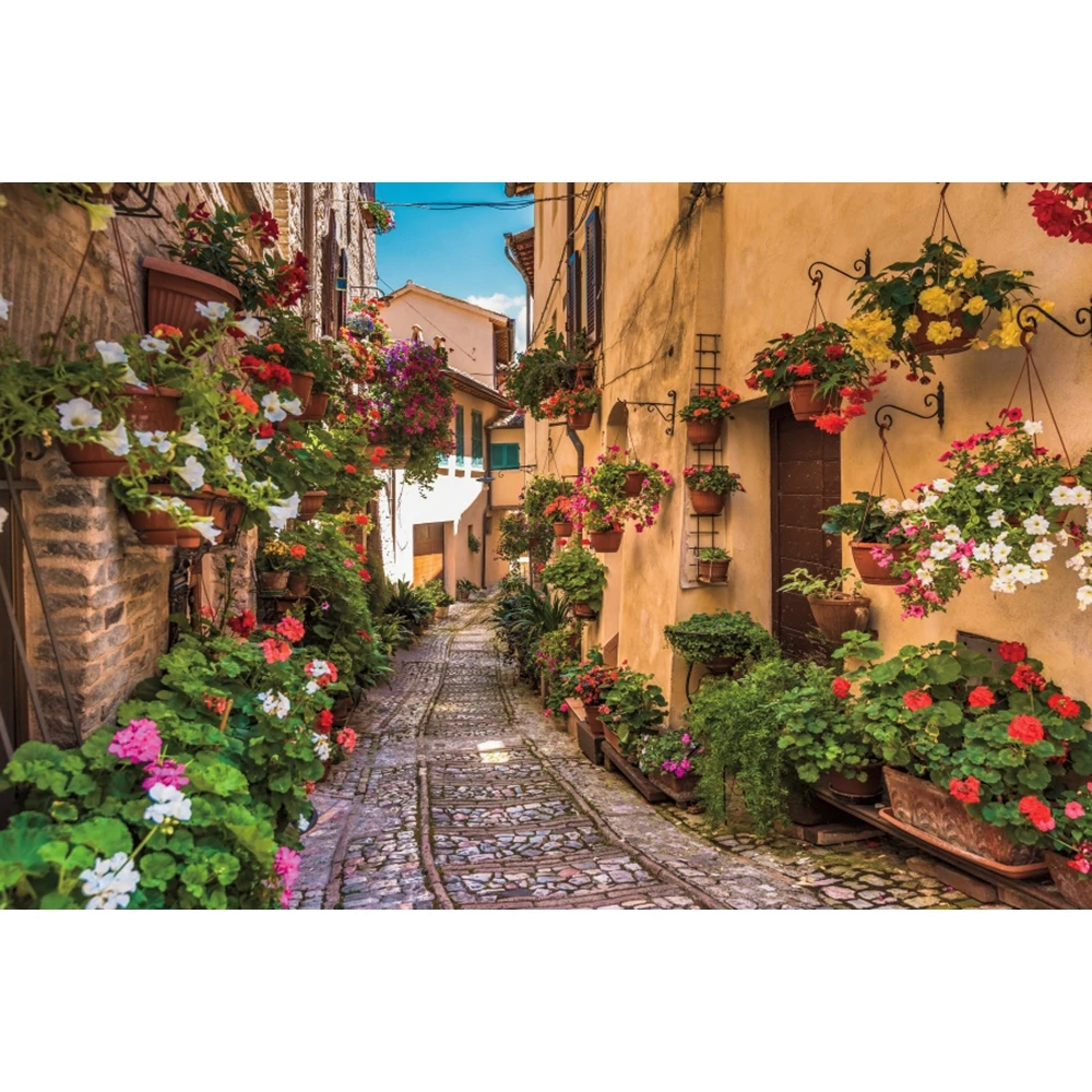 Countryside Italian Streets Town Floral Backdrop Wood Door Window Flower Alley Courtyard Baby Portrait Photography Background